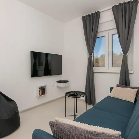 Villa Karin - - With Pool Grubine